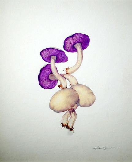  / Athos Menaboni, Mushrooms, c. 1965. Oil on gessoed paper; 18 × 15 in. (45.7 × 38.1 cm). Gift of D. Russell Clayton, 2007.1.15. 
