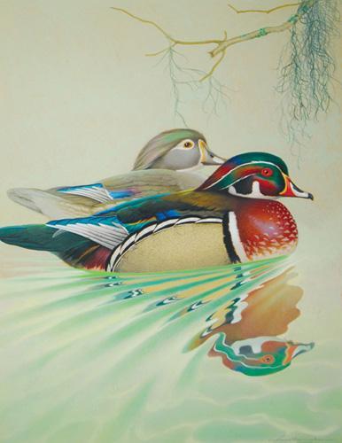  / Athos Menaboni, Wood Duck, c. 1944. Oil on illustration board; 24 1/2 x 20 in. (62 x 50.8 cm). Gift of D. Russell Clayton, 2007.1.4. 
