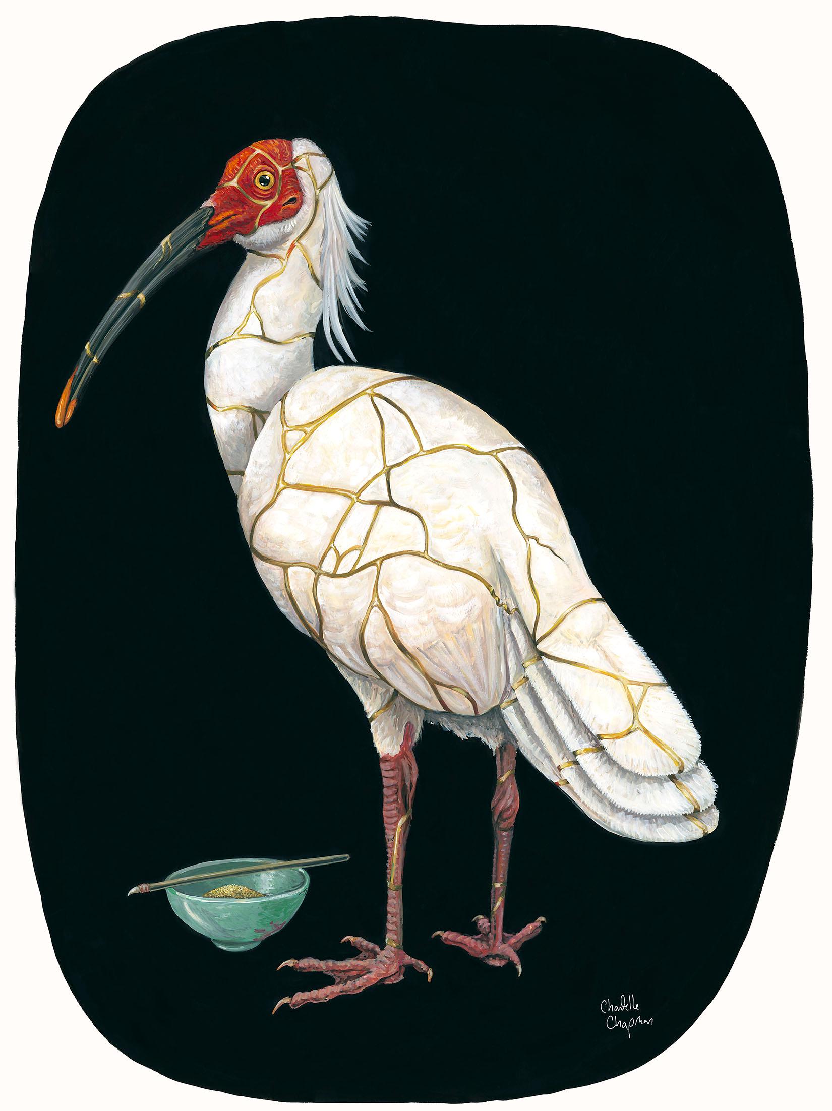 Chantelle Chapman, "Restoration", 2023. Gouache on paper. / A stylized white bird with orange accents standing near small green leaves on a dark background.