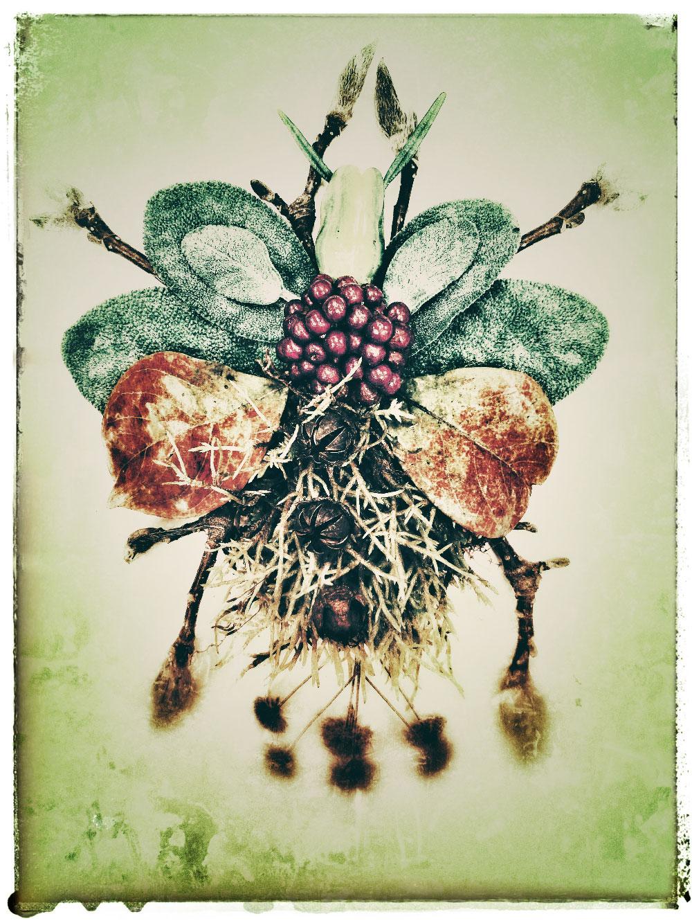 Inspired by Nature / An illustration of a stylized insect with symmetrical wings, decorated with patterns in soft pink, green, and black tones.