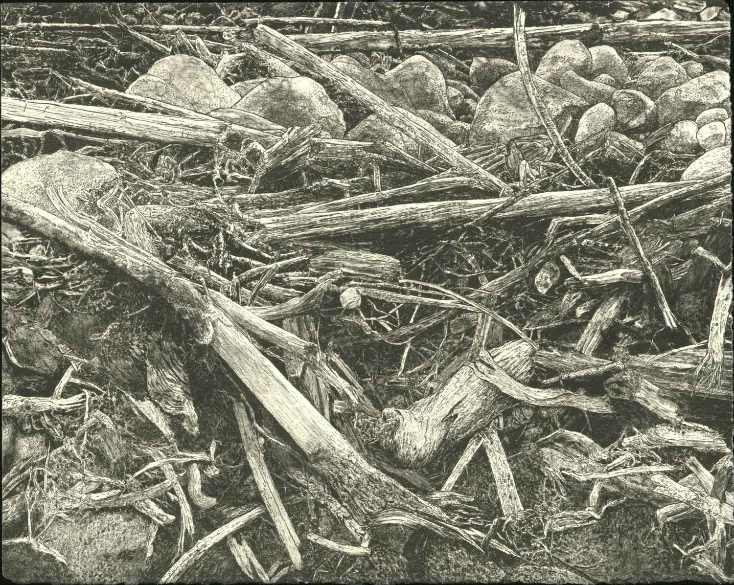 Patricia Villalobos Echeverría  / Patricia Villalobos Echeverría 18° Slide, 2016. From the portfolio, Island of Enchantment: La Isla del Encanto, Puerto Rico. Ink on paper, archival pigment digital. Gift of the artist 2016.18.1j © Patricia Villalobos Echeverría 