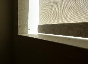 Lisa Schnellinger - Image 1 - Library Window  / Lisa Schnellinger - Image 1 - Library Window 