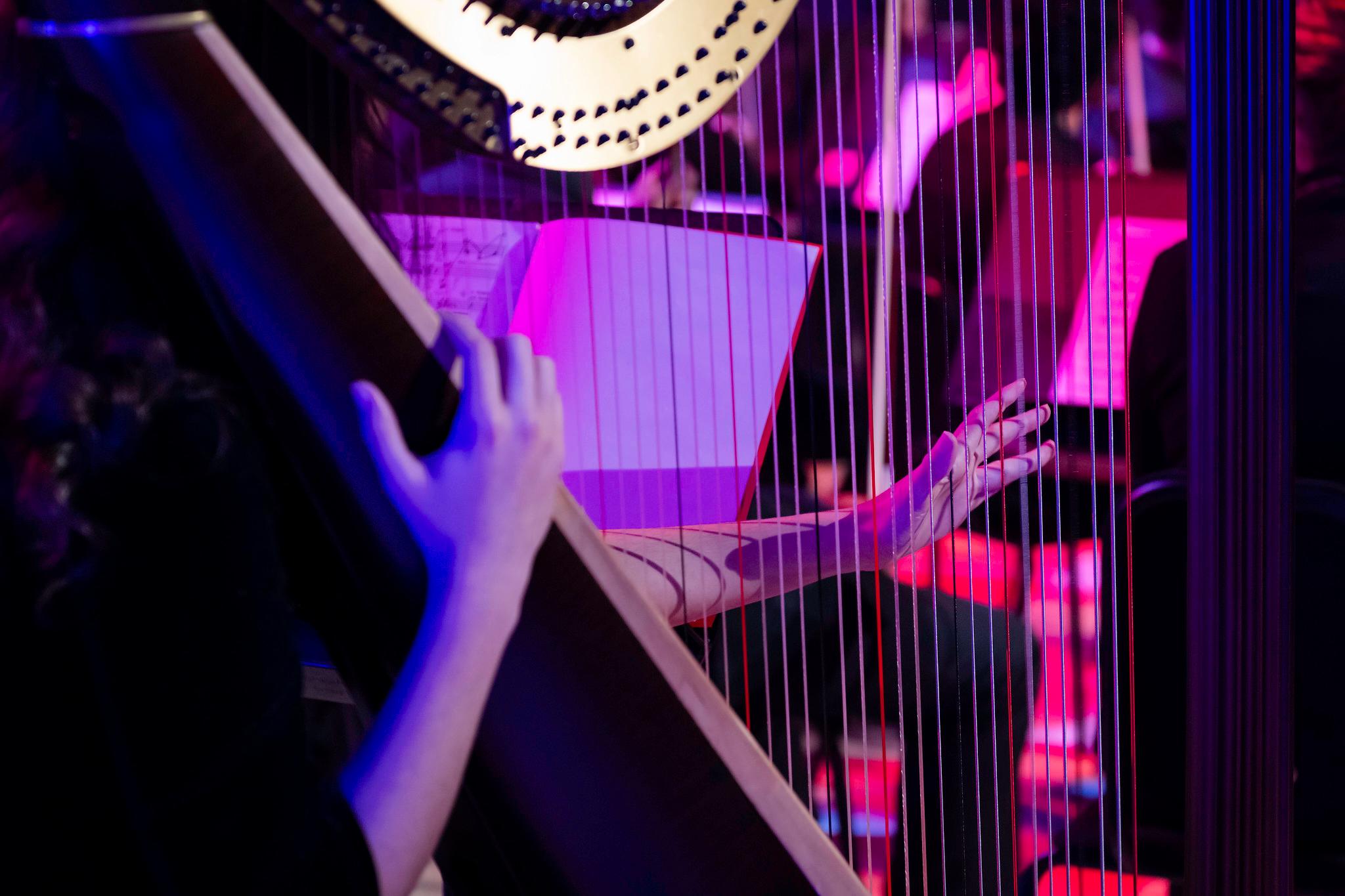 KSU's String Area 2023 convert, where violin players and talented musicians took the stage / 