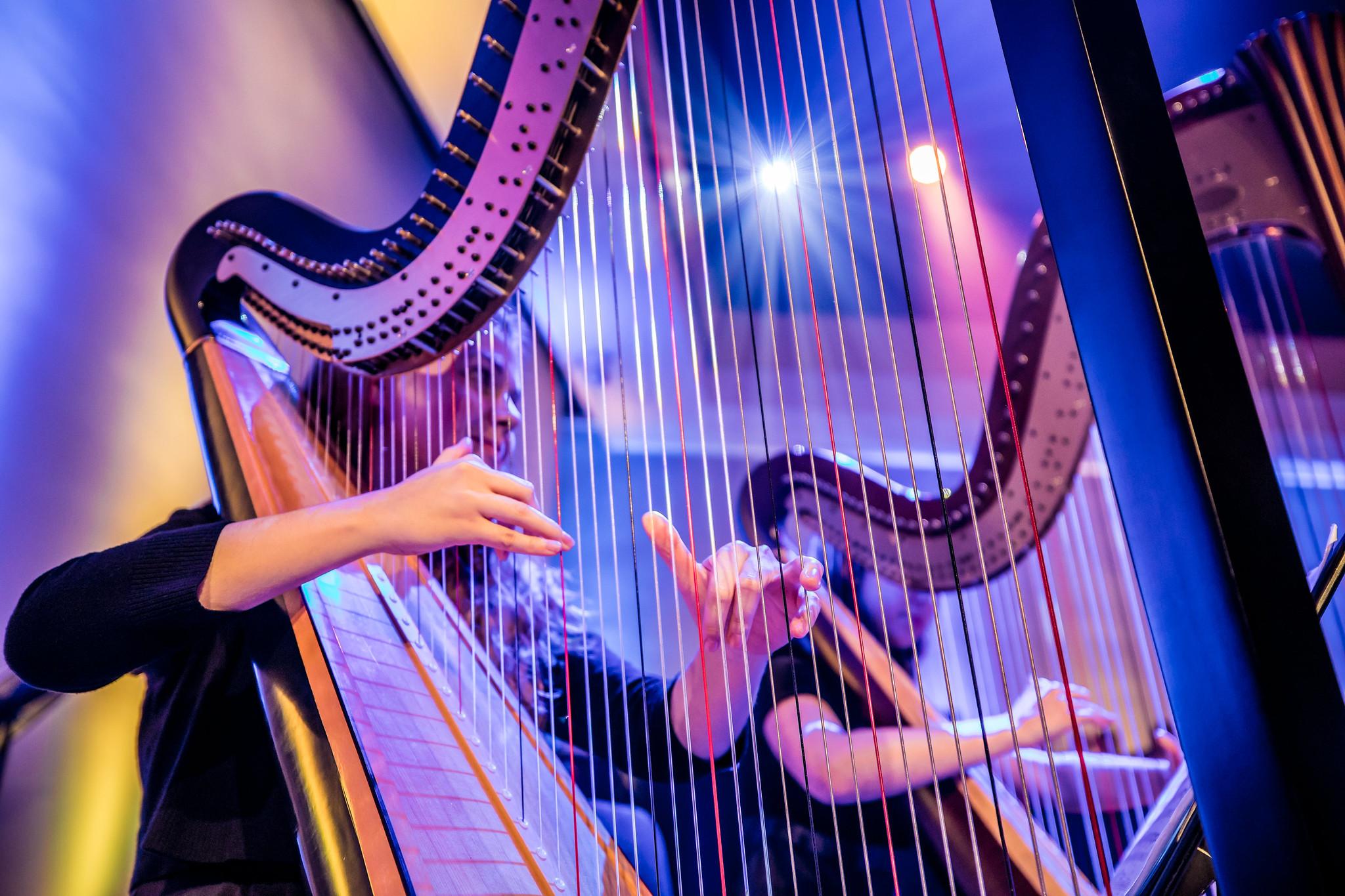 KSU's String Area 2023 convert, where violin players and talented musicians took the stage / 