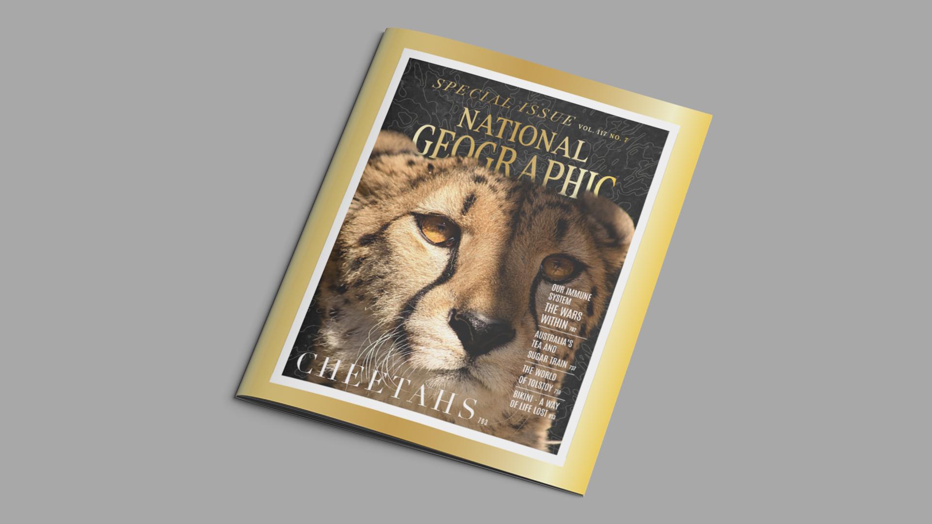 National Geographic Special Issue: Cheetahs / 