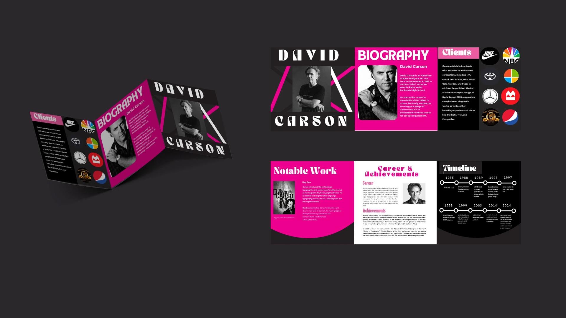 David Carson Brochure  / 