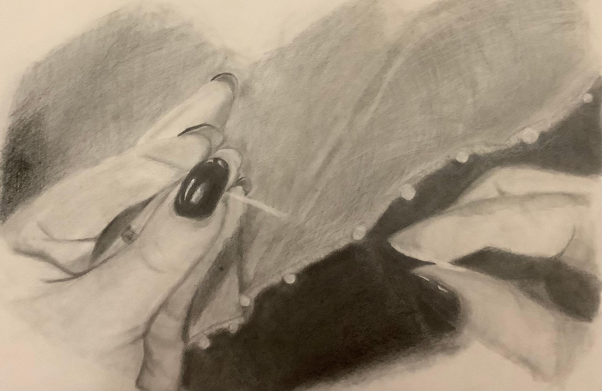 Luci Wilgus  / Luci Wilgus Final Drawing Sewing GraphiteStitch by Stitch was created as my Final Drawing for my Drawing 1 class. The goal was to create a snapshot of my own personal values identified through self-reflection. Creativity came to the surface as my buildin 