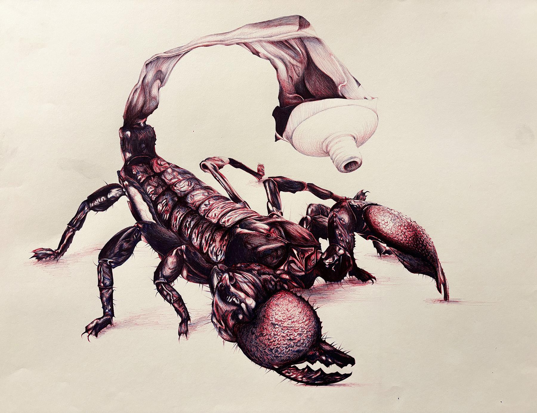 Ethan Owen  / Ethan Owen, Scorpion Paste, 18” x 24”, Ballpoint pen, 2023 