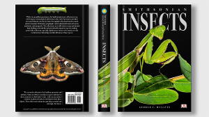 Insect Book  / "Insect Book," hardcover book, 6 x 9, print cover, 2023. This is a mock design of a Smithsonian encyclopedia on insects. 