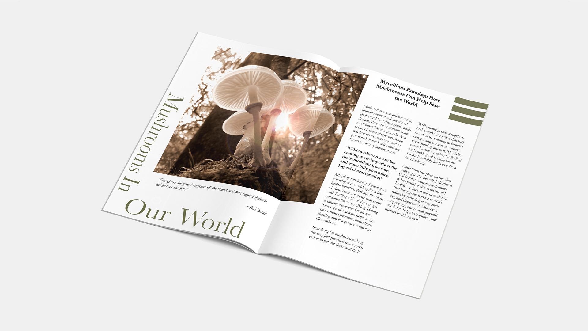 Mushrooms of our world magazine spread  / “Mushrooms of our world magazine spread,” 11 x 10 inches print maga- zine, 2023. This magazine spread provides informative reading on the uses of mushrooms.