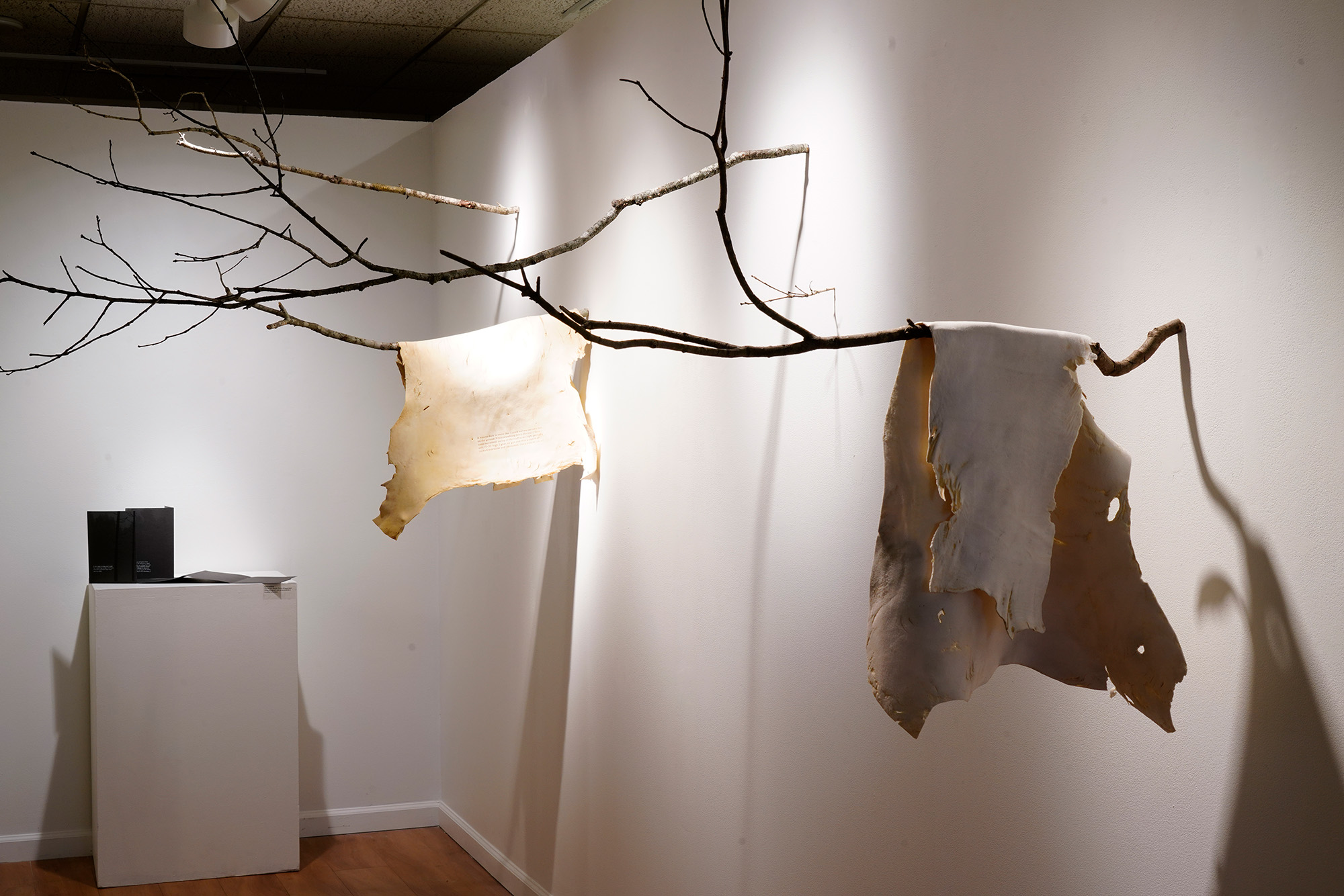 installation of exhibition