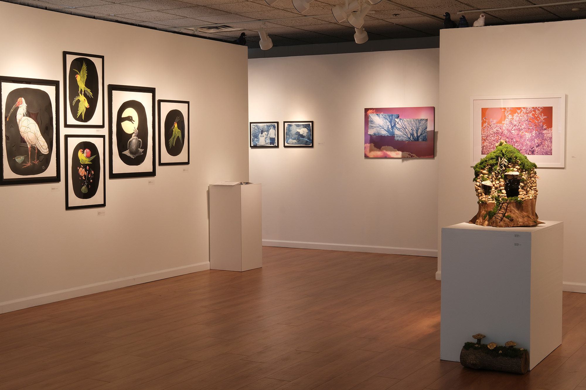 capstone 2024 installation