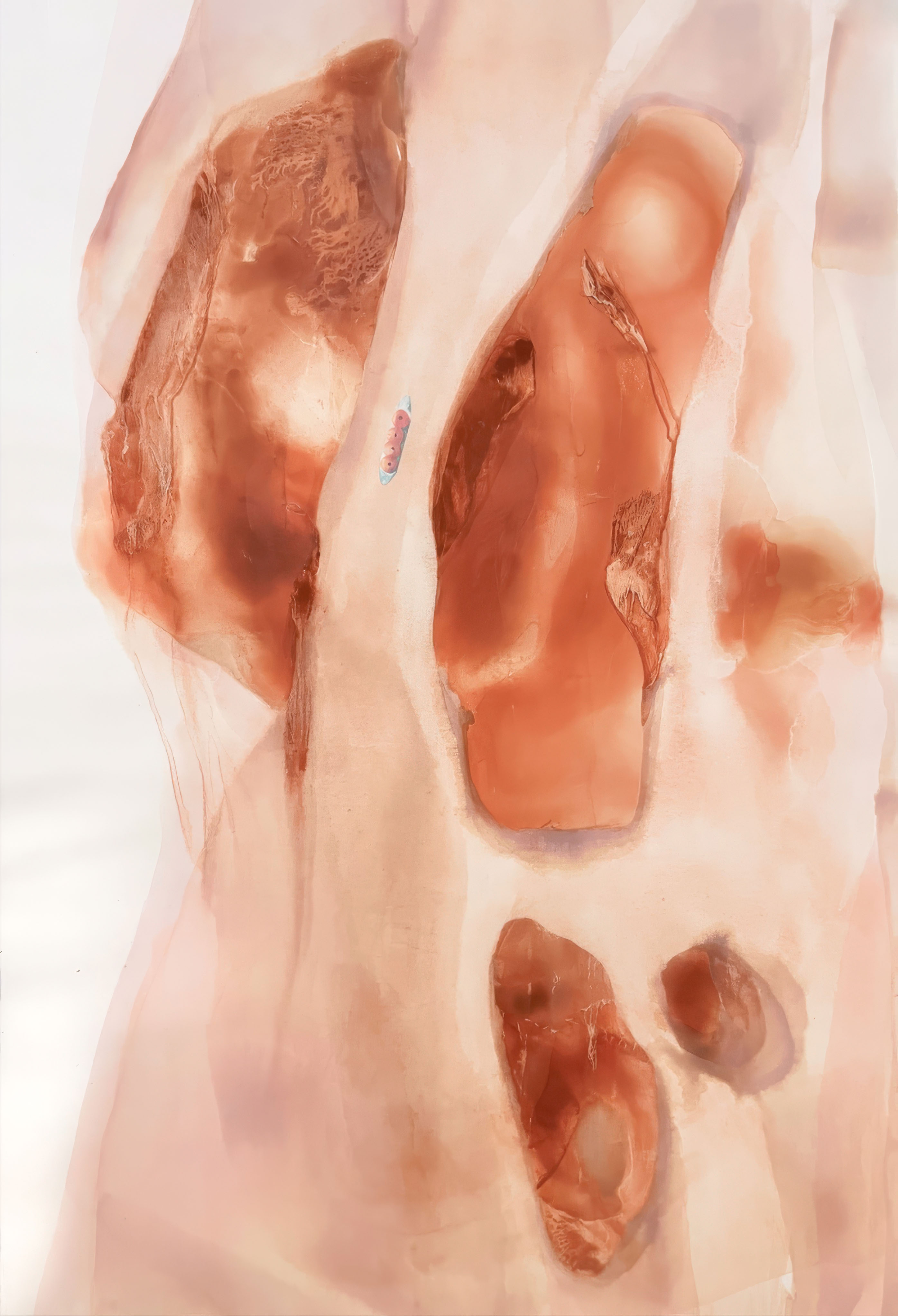 blotches of red and brown paint forming an abstract image