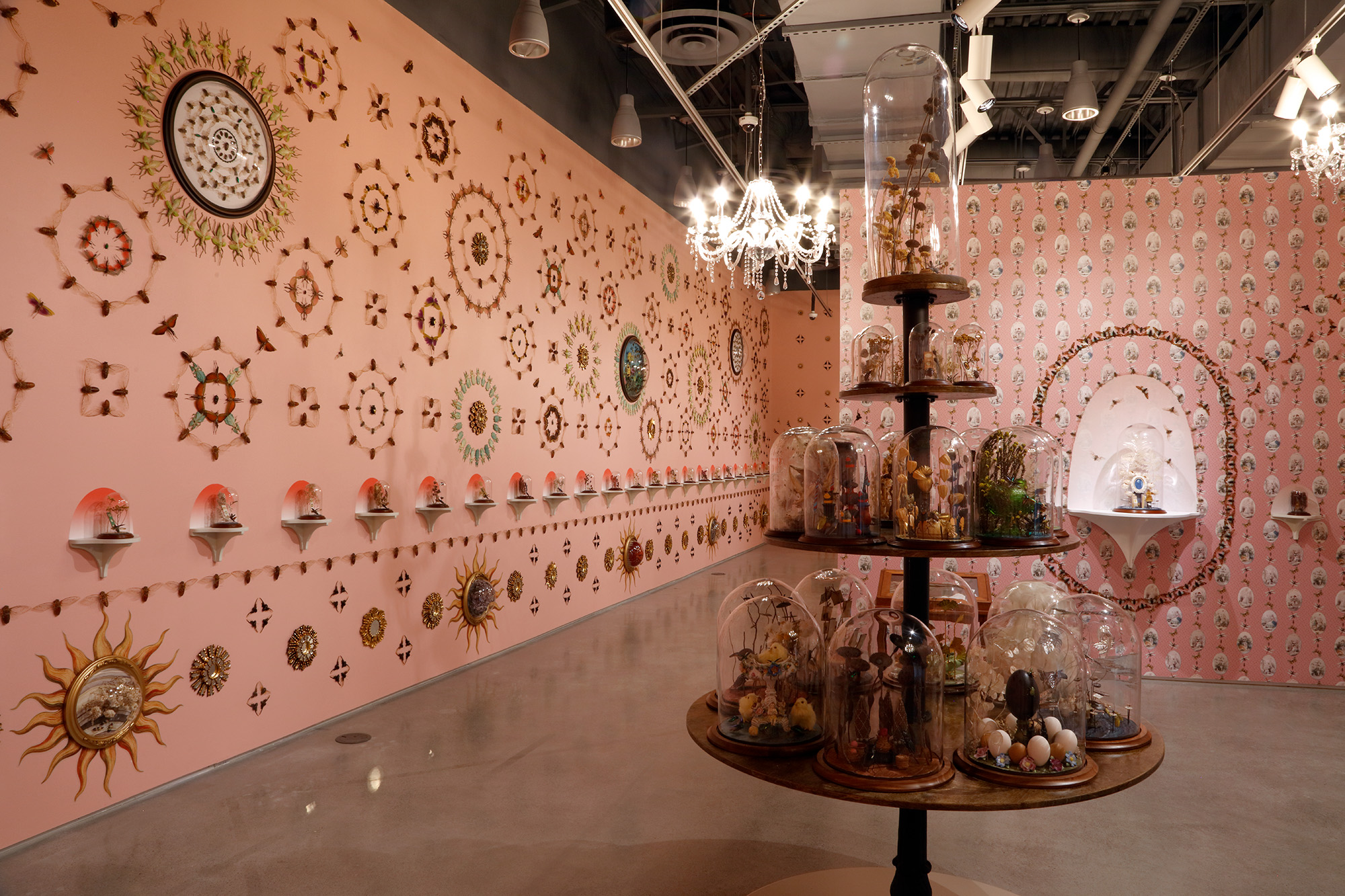 detail of bugs on a wall with pink background