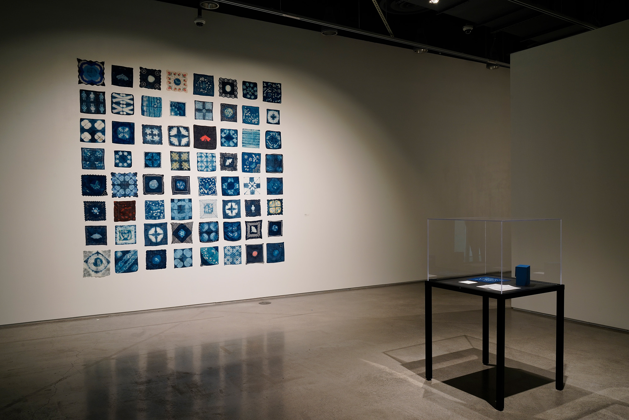 image of blue cyanotyped art work in a grid on the wall and a blue book enclosed in a glass box
