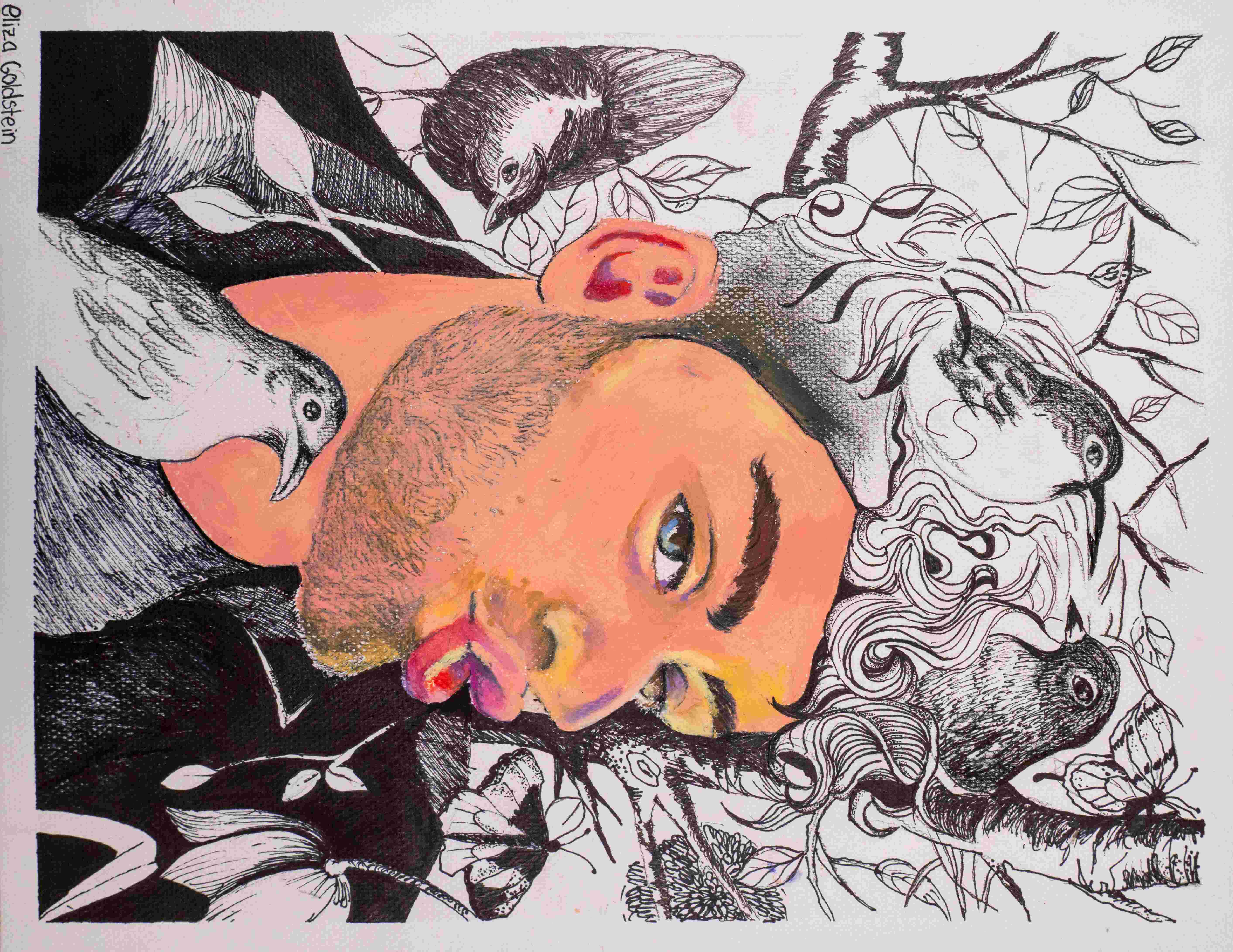 drawing of a face and birds