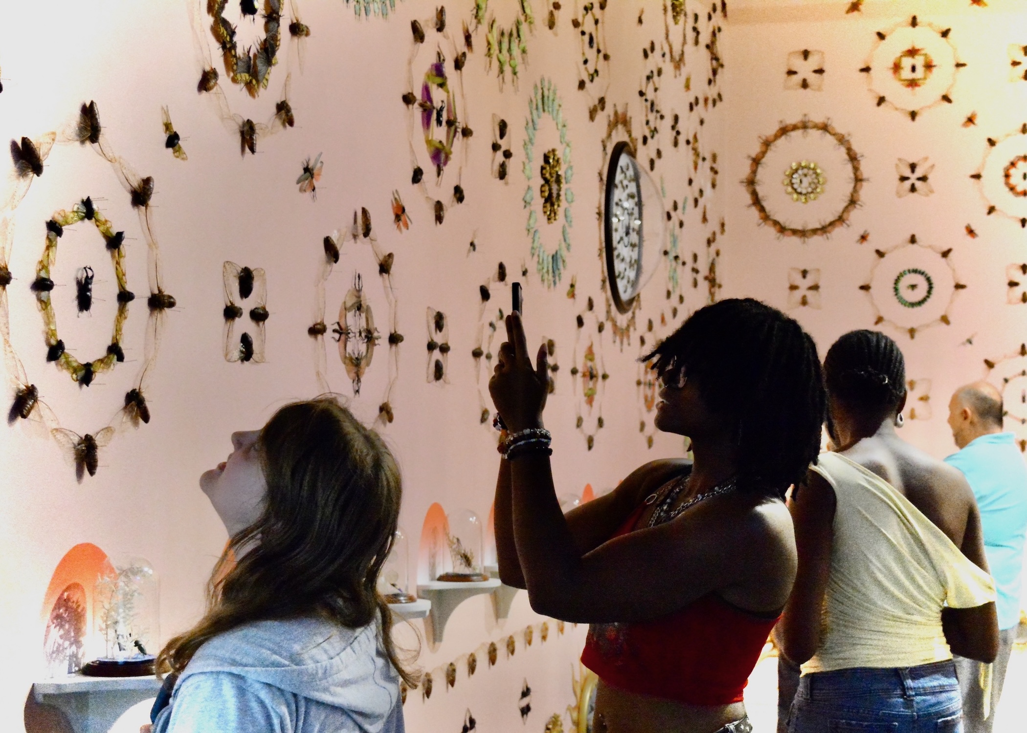 young woman takes a photo of art in the Jennifer Angus Lady Bug exhibition at the ZMA