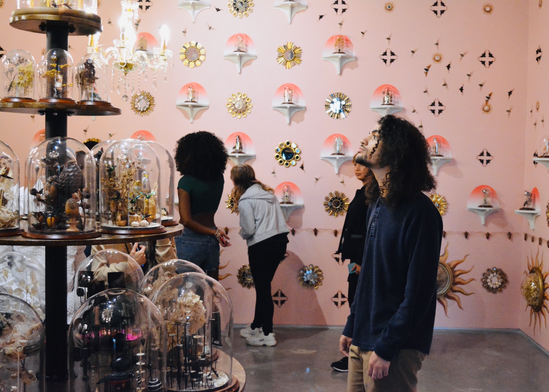 young man marvels at art in the Jennifer Angus Lady Bug exhibition at the ZMA