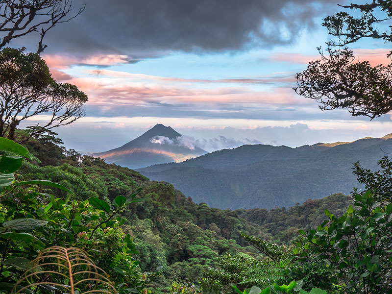 A panoramic view of lush mountains and dense jungle from a forest, showcasing Costa Rica's natural beauty for study abroad students.