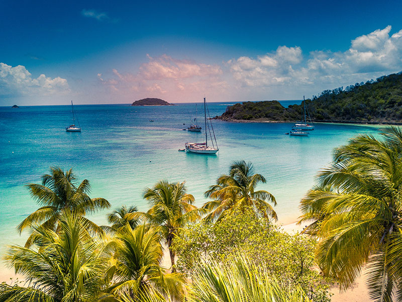 A serene beach in Trinidad and Tobago, featuring palm trees and boats gently floating in the clear blue water.