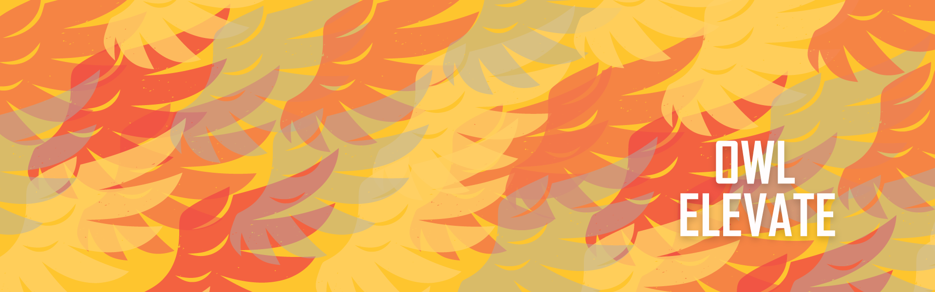 decorative image of wings for Owl Elevate