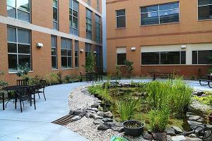 / 2019 The Oasis, Outdoor classroom renovation