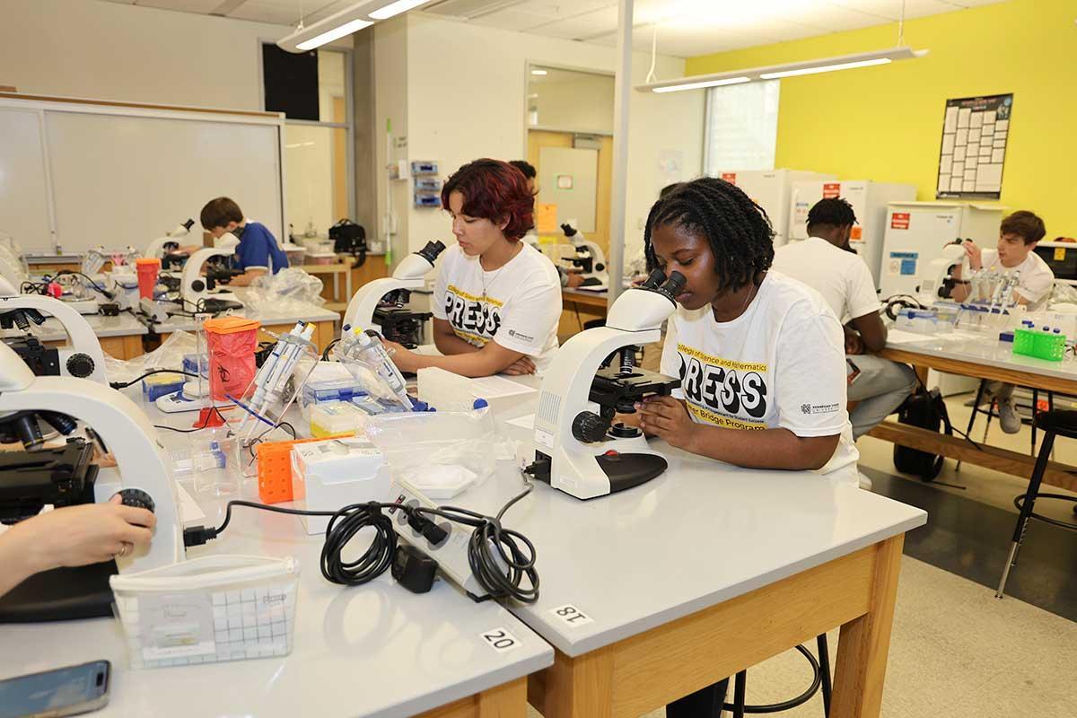 CSM PRESS program students using microscopes in a lab.  / CSM PRESS program students using microscopes in a lab. 