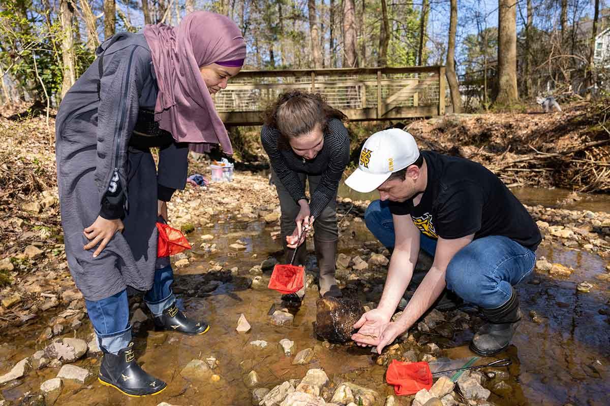 Undergraduate students collecting research samples in the field.  / Undergraduate students collecting research samples in the field. 