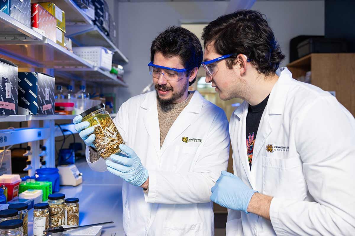 Faculty and student looking at research samples in a laboratory.  / Faculty and student looking at research samples in a laboratory. 