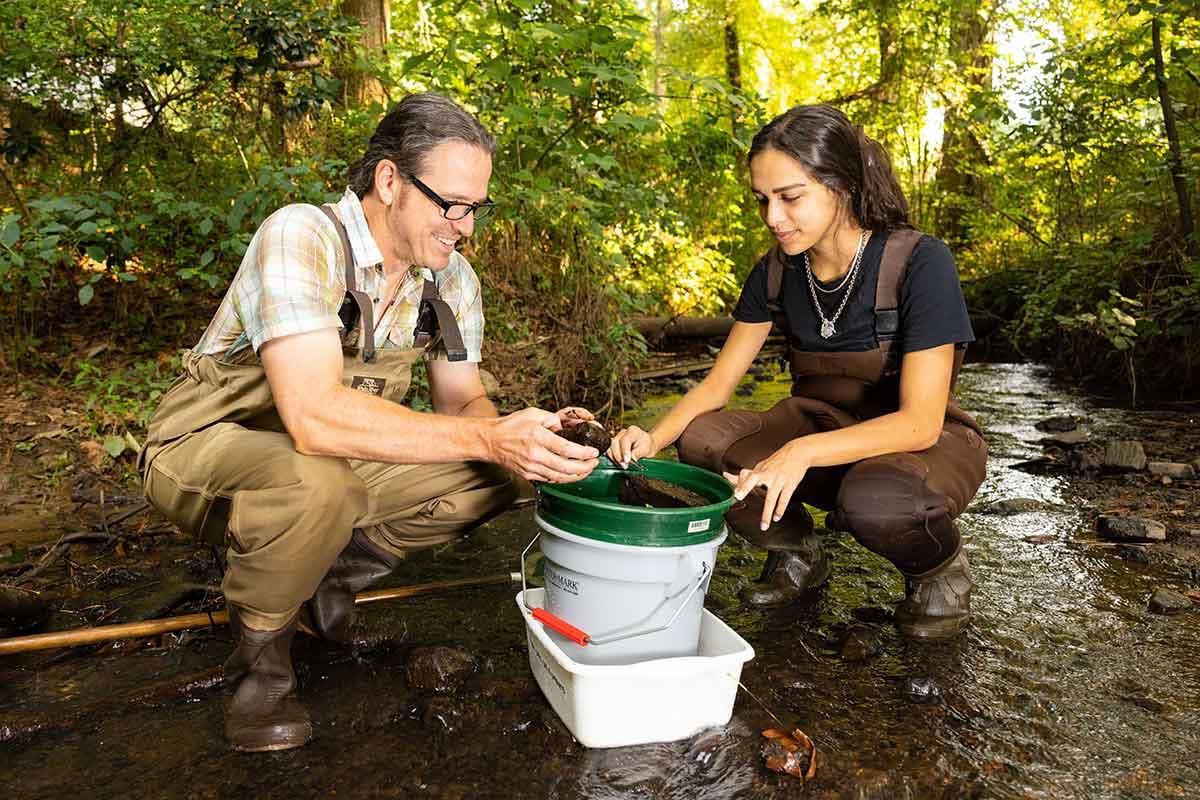 Dr. Troy Mutchler and student collecting samples in a creek.  / Dr. Troy Mutchler and student collecting samples in a creek. 