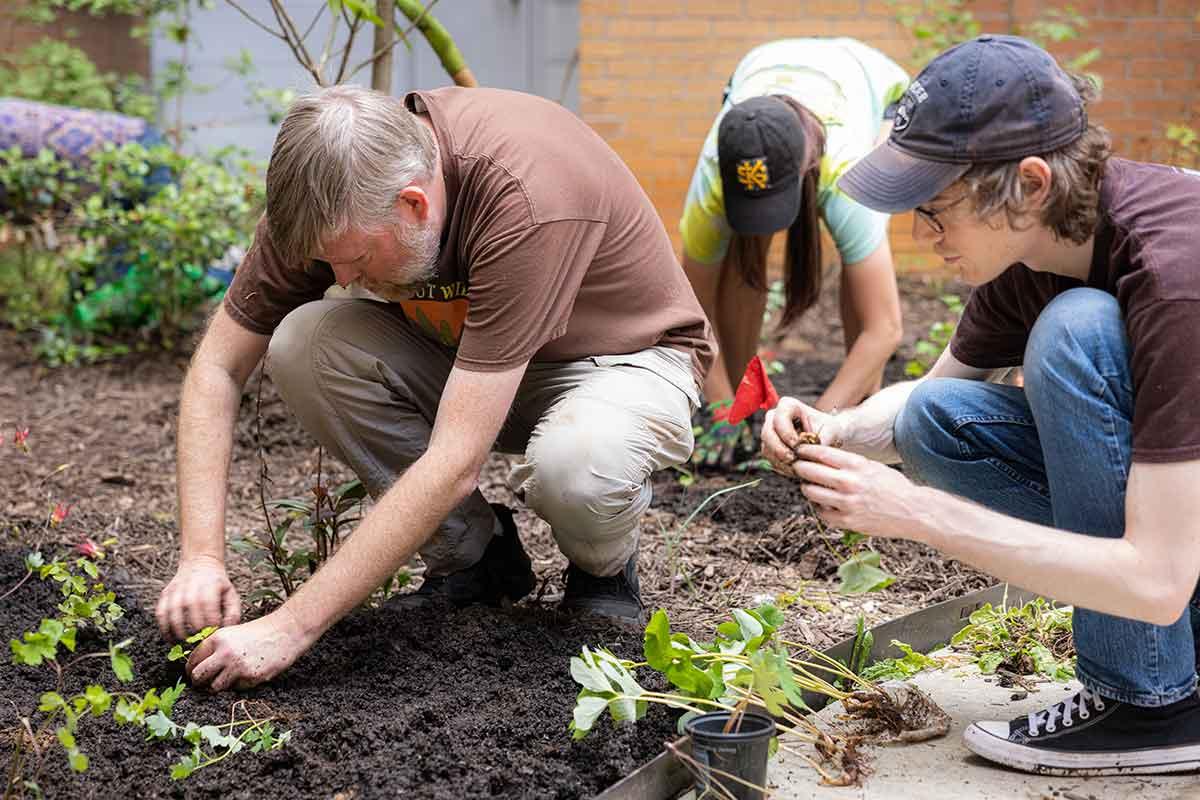Dr. McNeal planting with students in the Oasis outdoor classroom at Kennesaw State University.  / Dr. McNeal planting with students in the Oasis outdoor classroom at Kennesaw State University. 