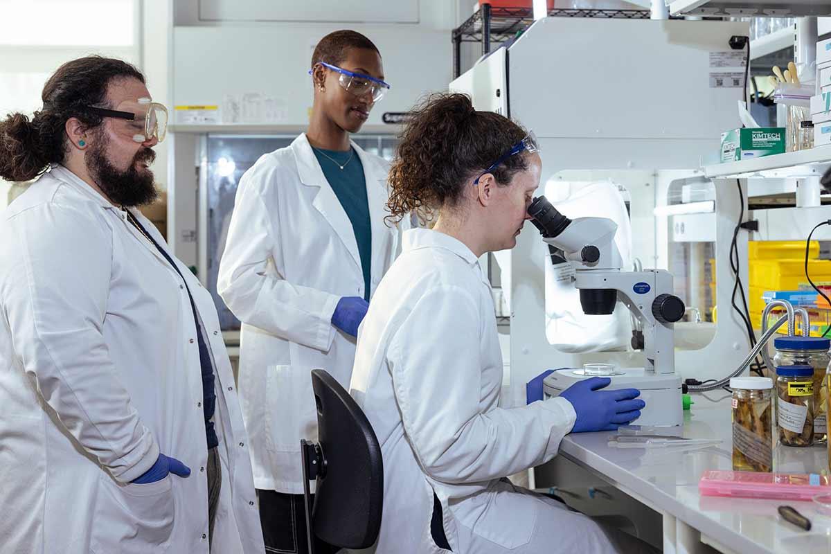 Dr. Preisser and students working on research in a lab.  / Dr. Preisser and students working on research in a lab. 