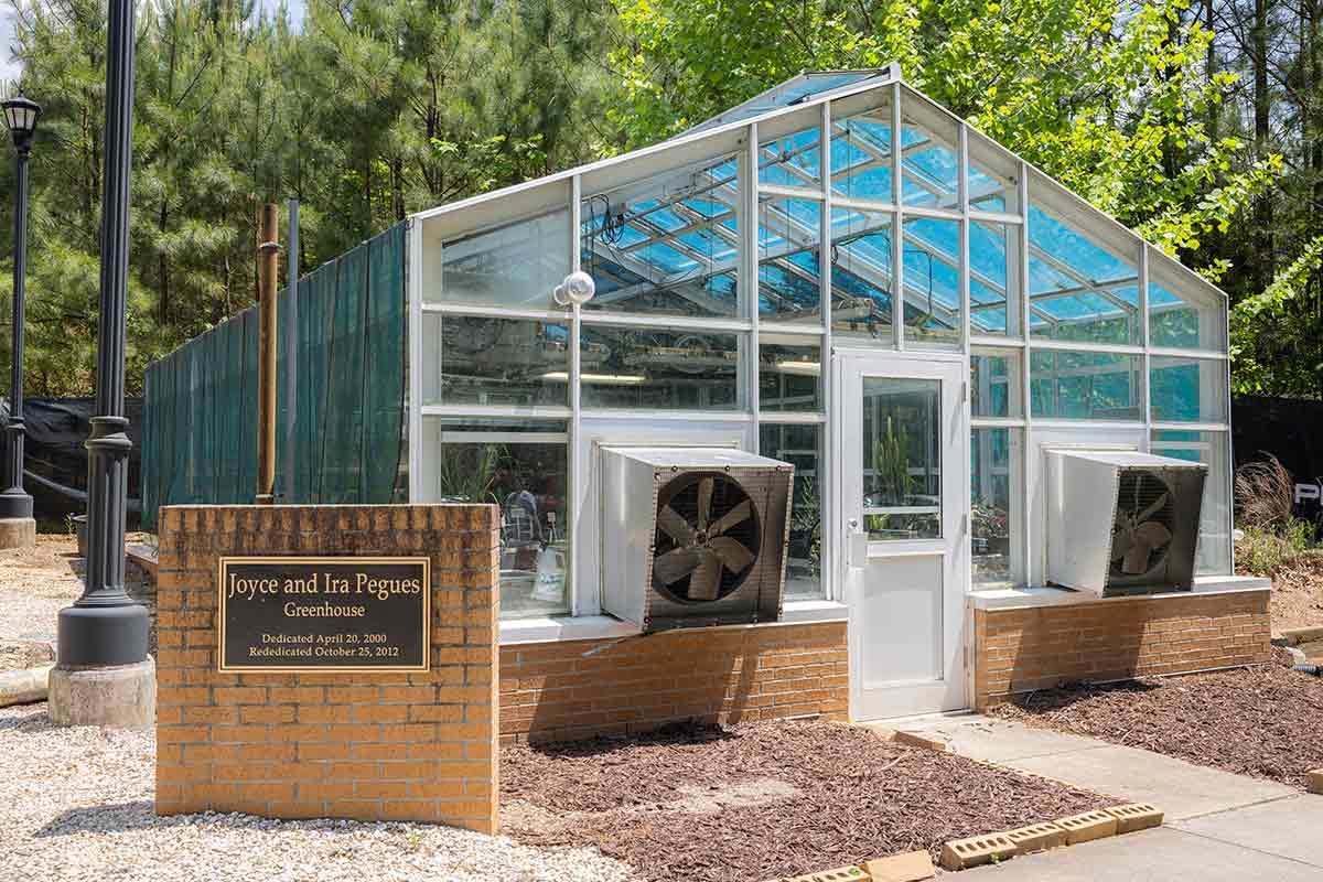 Greenhouse at Kennesaw State University, Kennesaw campus.  / Greenhouse at Kennesaw State University, Kennesaw campus. 