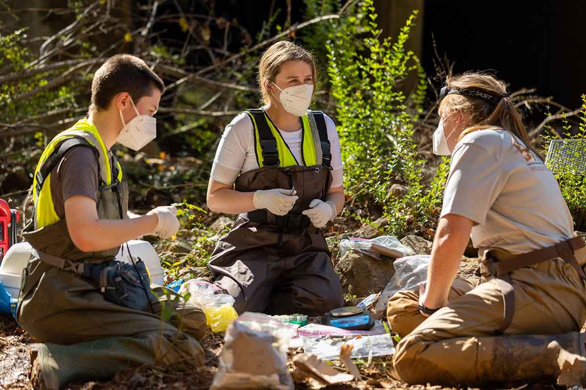 Photo of faculty and students working on research in the field. / Photo of faculty and students working on research in the field.