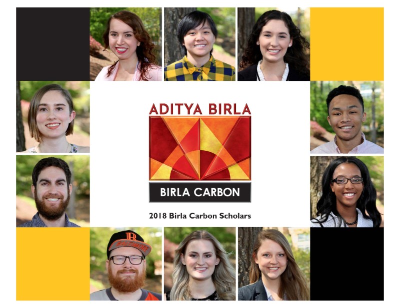 Birla Carbon Scholars 2018
