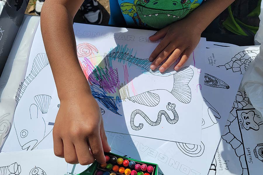 Child coloring a science picture