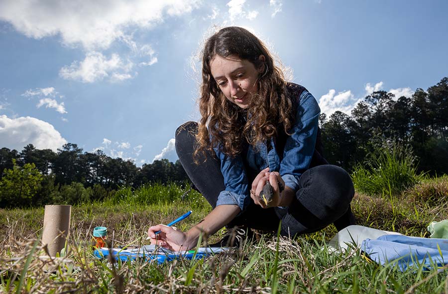 Faculty working on research at the KSU Field Station