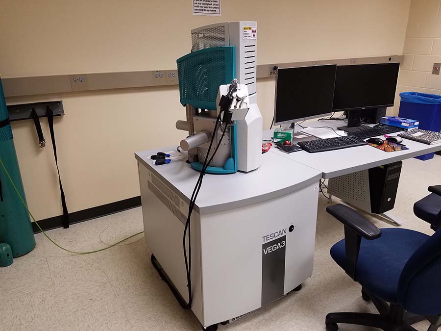 Tescan Vega 3 in the Scanning Electron Microscope (SEM)