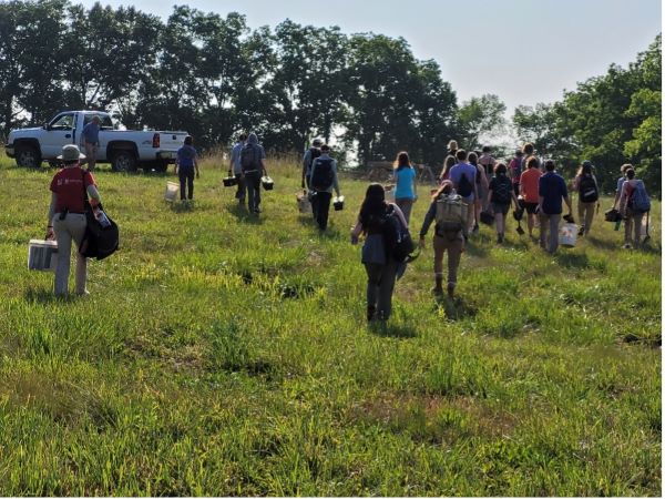 A group of students in a field performing archaelogical excavations.