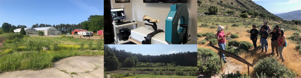 Collage of research spaces including greenhouses, a lab with a bone scanner, a natural landscape, and a field study with students.