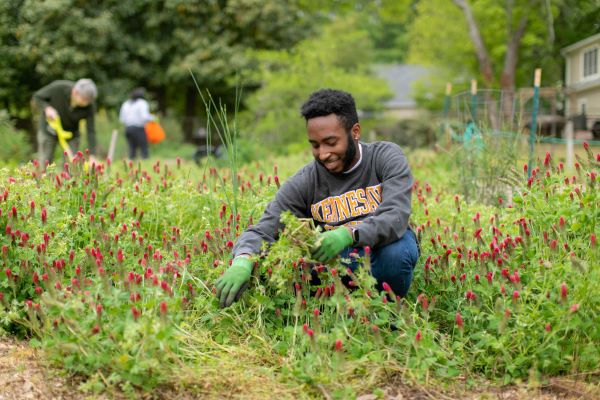 A young man gardening in a field of red wildflowers.
