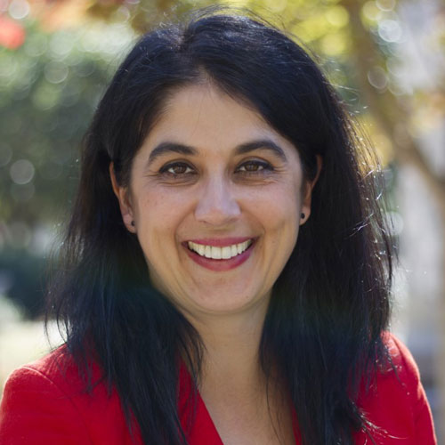 Darina Lepadatu Professor of Sociology