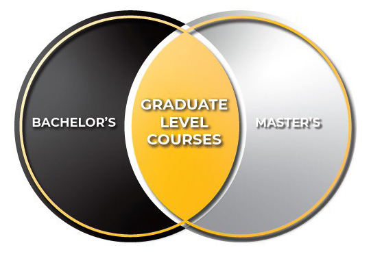 Chart depicting the structure of bachelor's and graduate level courses, showcasing their progression in higher education.