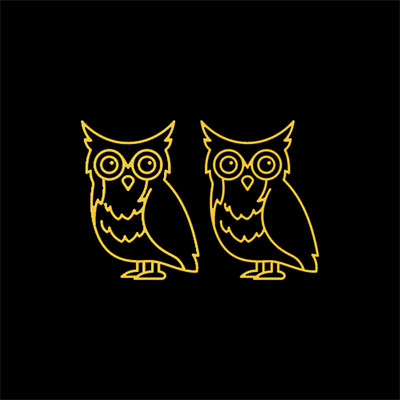 two owls drawn in line art