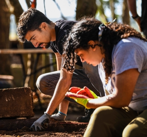 Two individuals conducting an archaeological excavation, carefully examining artifacts at a dig site while wearing gloves.