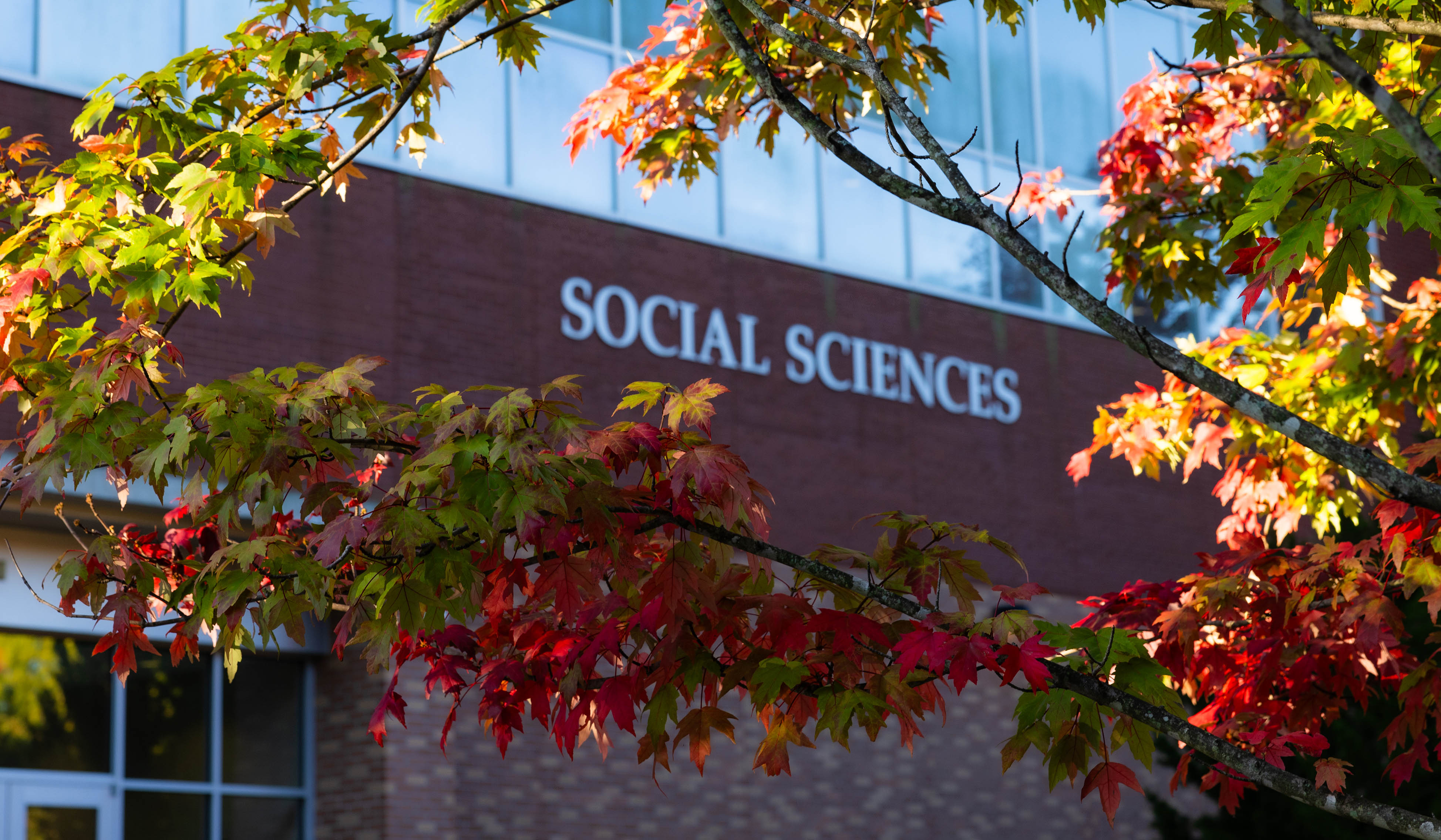Social Sciences sign on buliding with fall leaves