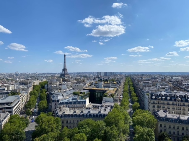 A panoramic view of the Paris skyline featuring the Eiffel Tower.