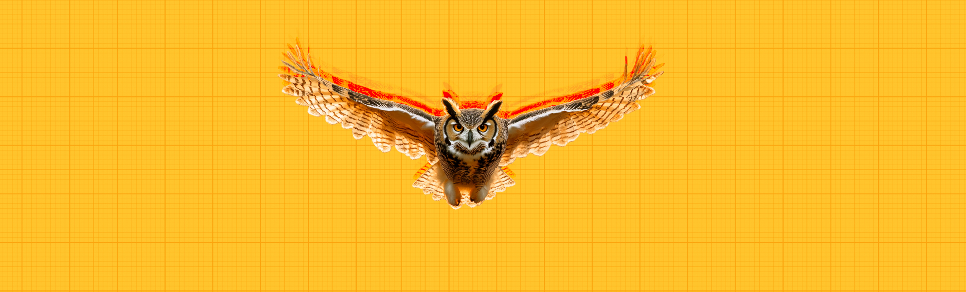 Radow College Internship Fellows Program banner featuring a flying owl over a gold Kennesaw State University background.