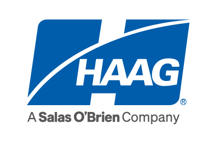 haag a salas o brian company