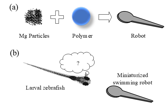 A miniaturized swimming robot